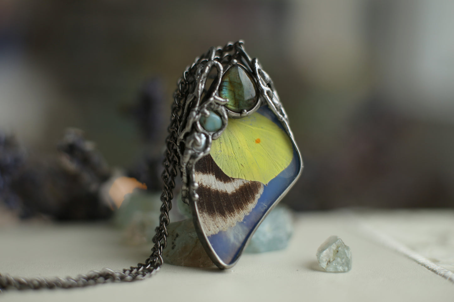 Real moth necklace with crystals