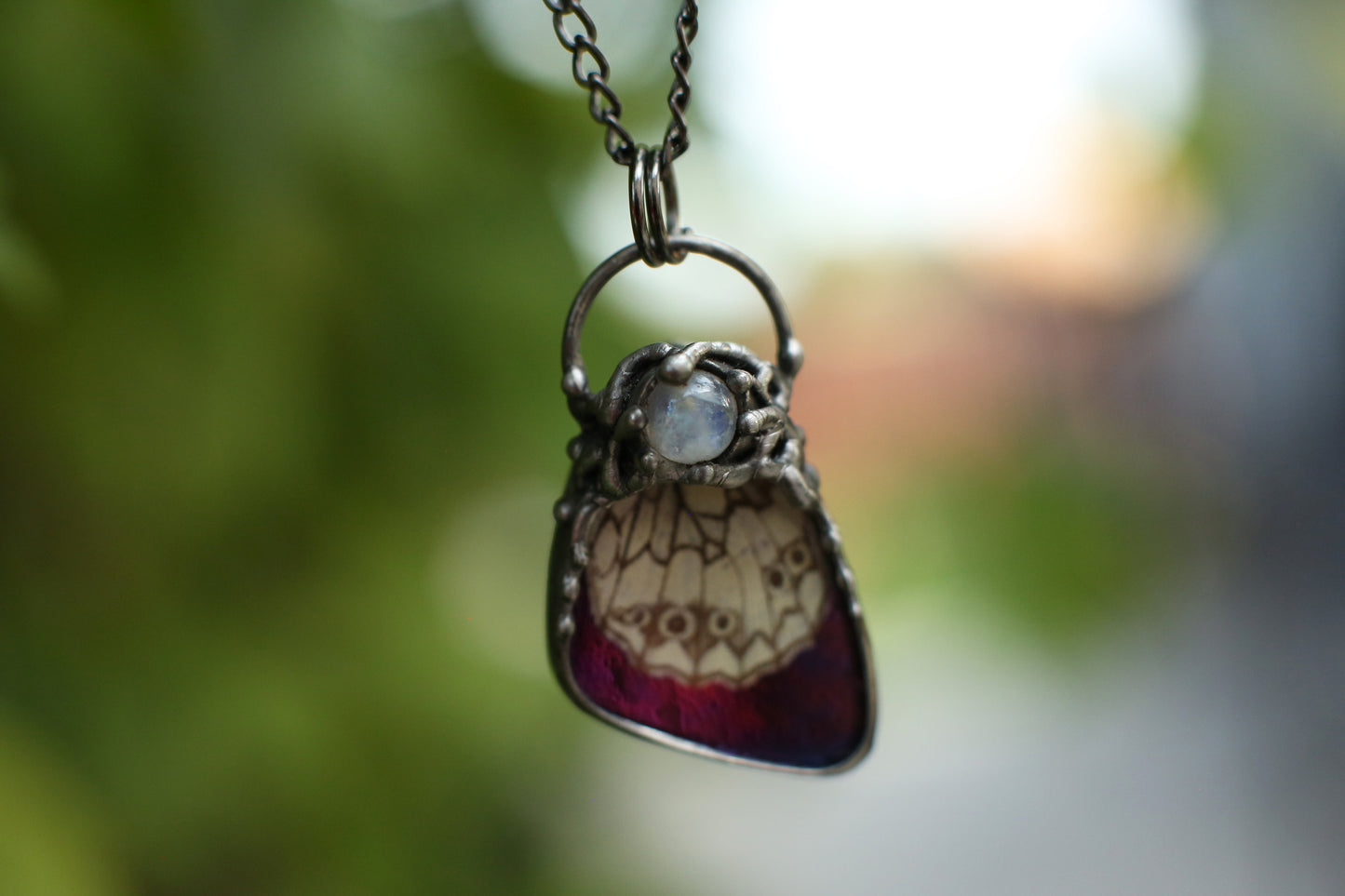 Real butterfly wing necklace with moonstone