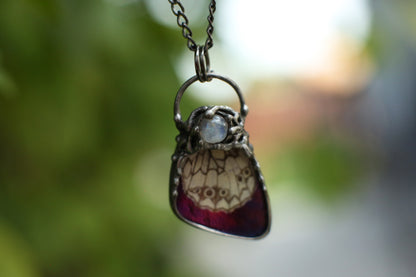 Real butterfly wing necklace with moonstone