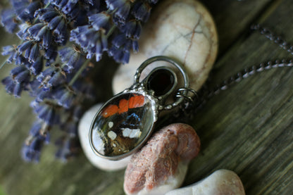 Real butterfly wing necklace with ruby