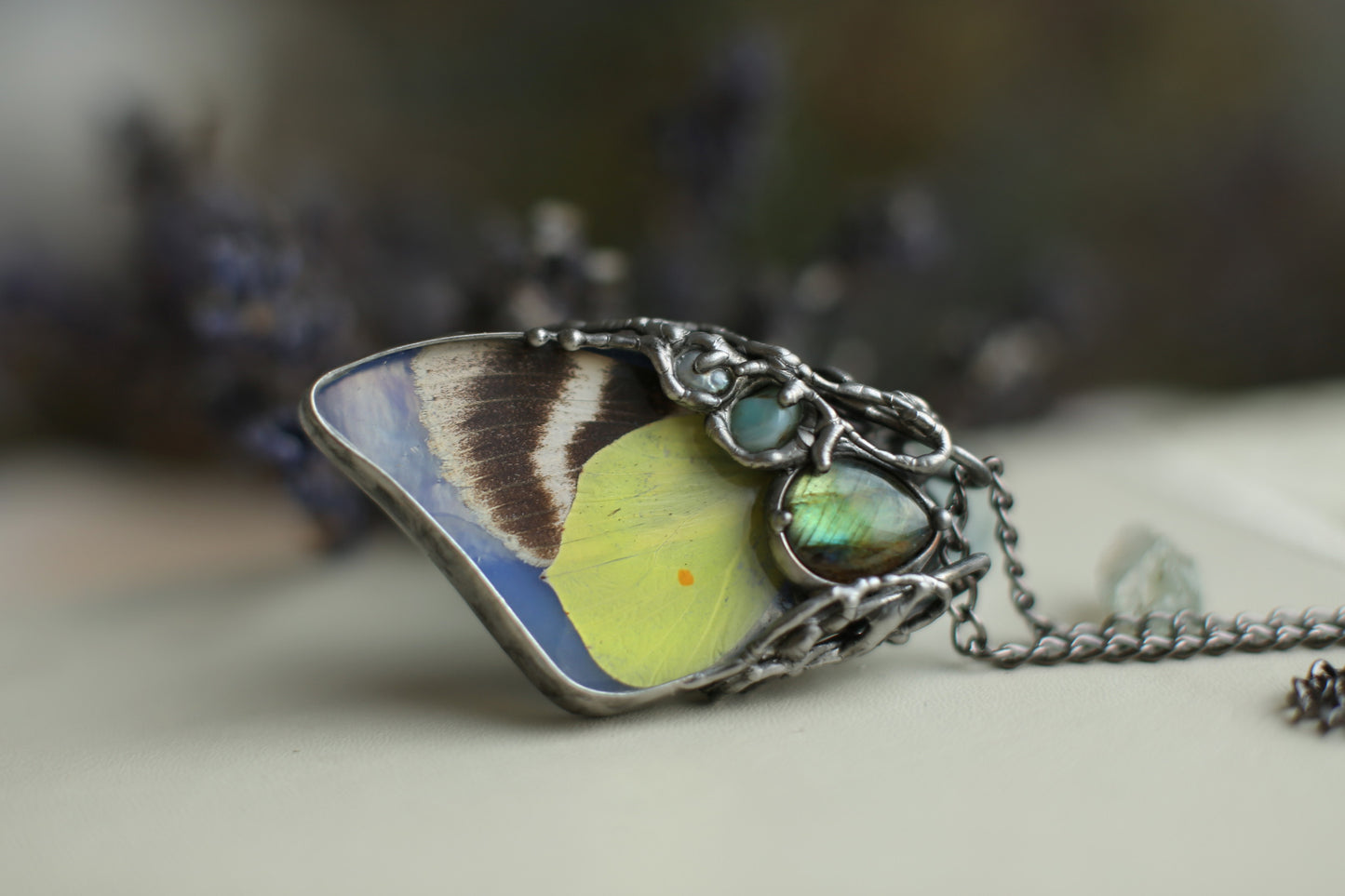 Real moth necklace with crystals