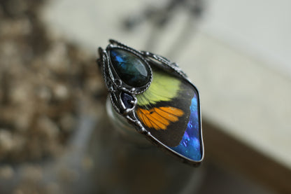 Preserved butterfly necklace with labradorite and sand stone