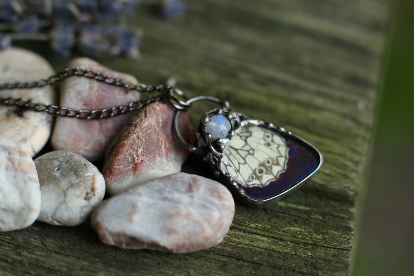 Real butterfly wing necklace with moonstone