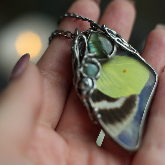 Real moth necklace with crystals