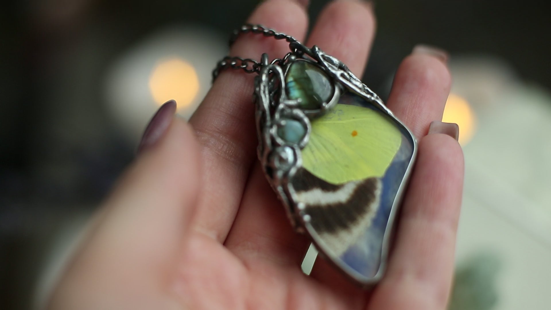 Real moth necklace with crystals