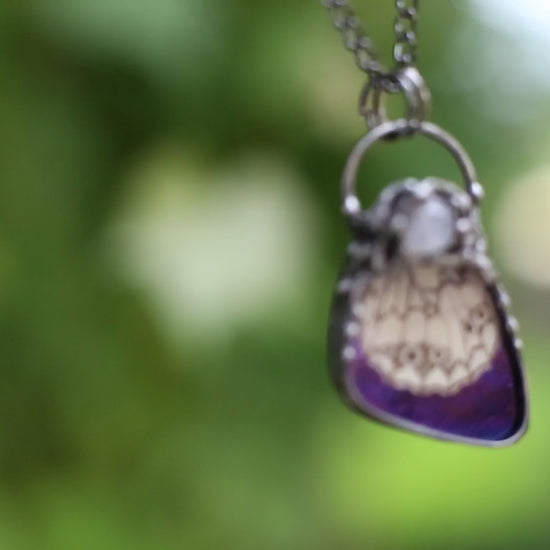 Real butterfly wing necklace with moonstone